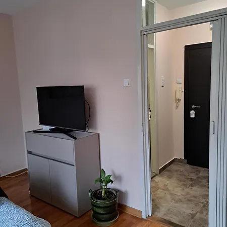 Apartment Vist 3